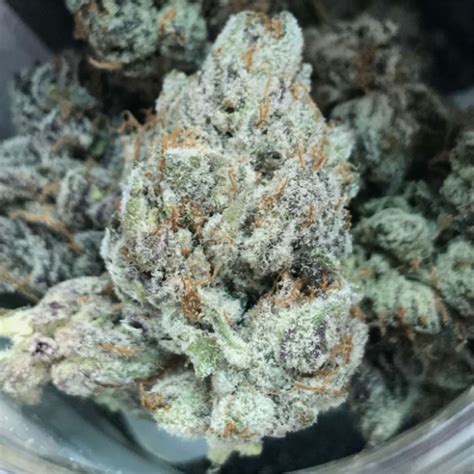 gucci gelato strain|gelato strain.